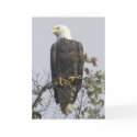 Note card by NatureGuy Note card