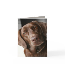 Note Card