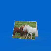 Note Card by 1drafthorse Note Card