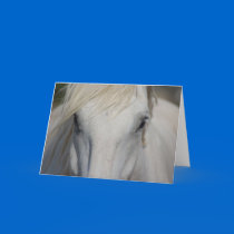 Note Card by 1drafthorse Note Card