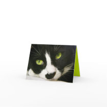 Note Card
