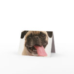 note, card, dog, pug