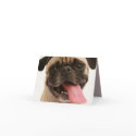 Note Card