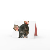 Note Card