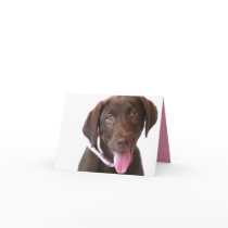 Note Card