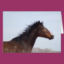 Note Card cards