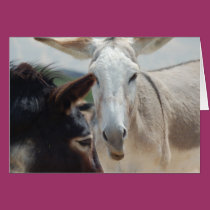 Note Card cards