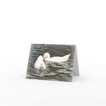 Note Card: Aylesbury Ducklings