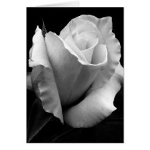 Note Card - B/W Rose