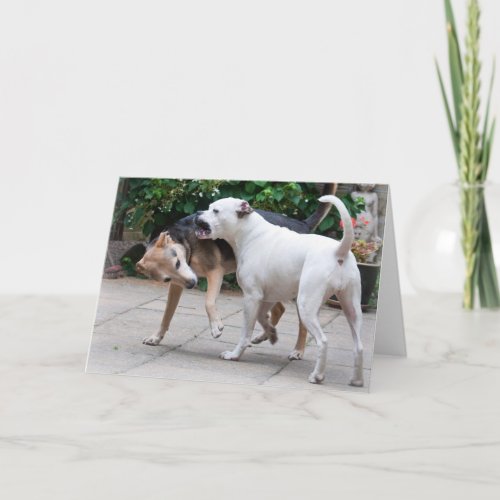 Note Card: Dogs card