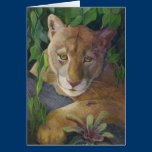 Note Card - Florida Panther cards