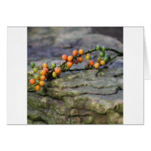 Note card, for any occasion