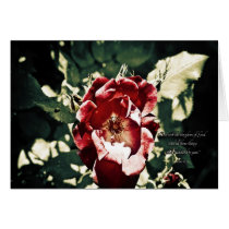 Note card - Luke 12:31 cards