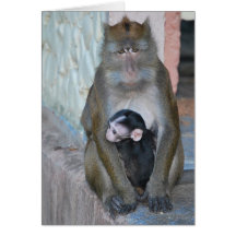 Note Card- Macaque Monkey and baby - Subic Bay