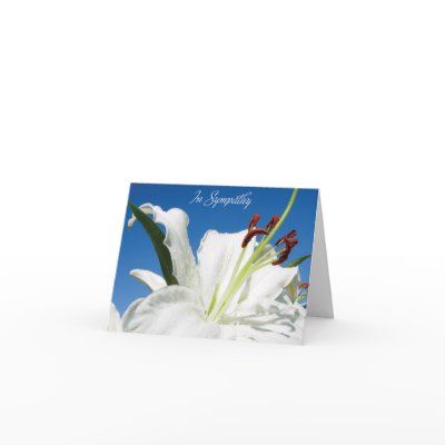 Note Card_Sympathy_Stargazer by dandelioncreative