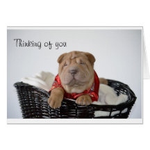 Note card - Thinking of you