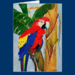 Note Card - Tropical Parrot cards