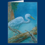 Note Card - White tropical bird in the Everglades cards