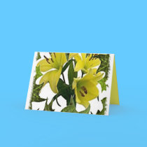 Note Card with No  special reason cards