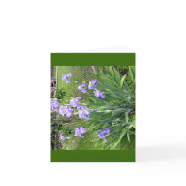 NOTE CARDS