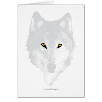 note cards