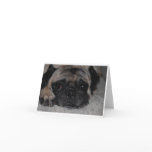 Note Cards