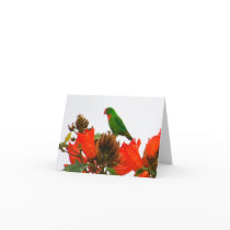 Note cards wtih exotic parrot on orange flowers