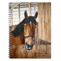 Notebook, Bay horse looking over stall door