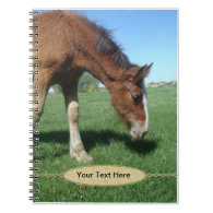 Notebook - Clydesdale Foal