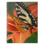 Notebook - Customized