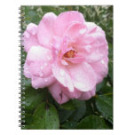 Notebook - Soft Pink Rose
