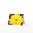 Notecard by bibigirl Notecard