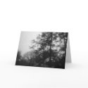 Notecard by bibigirl Notecard