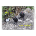Notecard: Bug eyes