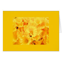 Notecard-Color Therapy-Yellow 6