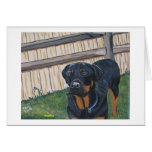 Notecard de Rottweiler 4 Tarjetas