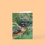 NoteCard for Nature Lovers cards