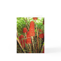 Notecard of  Wild Fire Flowers, Hawaii