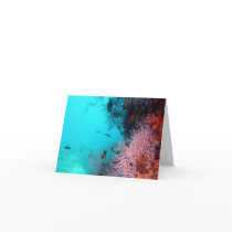 Notecard-Underwater fish