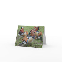 Notecard with Mandarin Duck Design