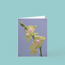 NOTECARD WITH YELLOW ORCHID