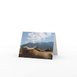 Notecards