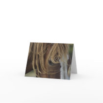 Noted Card