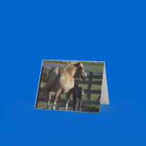 Noted Card by 1drafthorse Noted Card