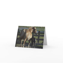 Noted Card