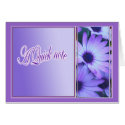 notelet card pink daisies by picketty notelet card pink daisies