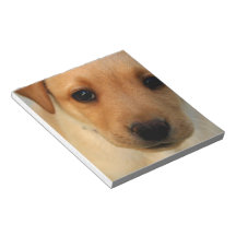 Notepad - Customized