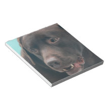 Notepad - Customized