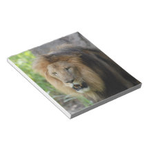 Notepad - Customized