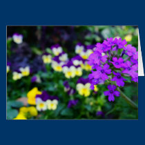 Notes of Spring cards